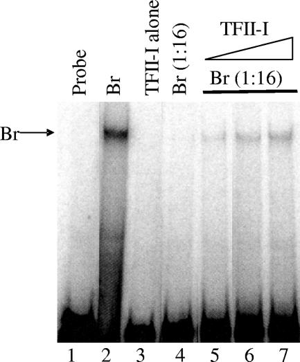 FIG. 9.