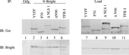 FIG. 5.