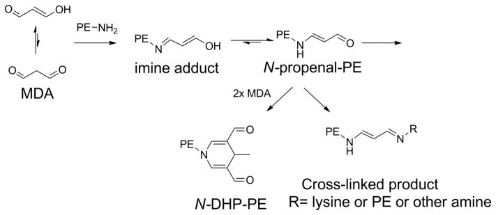 Figure 20