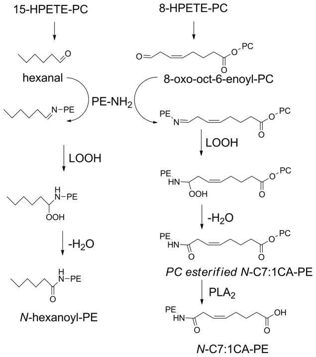 Figure 22