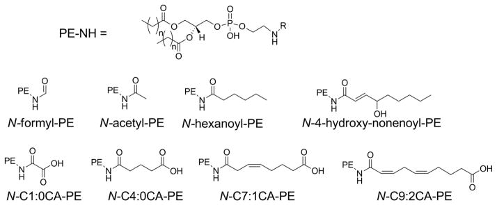 Figure 21