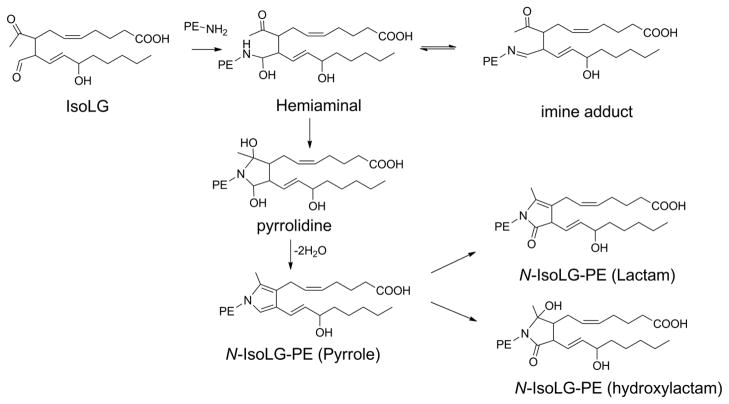 Figure 19