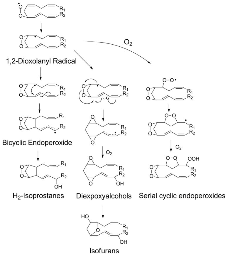 Figure 14