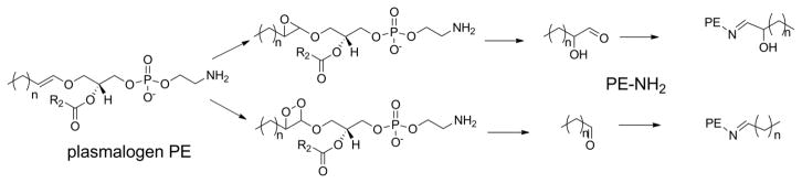 Figure 23