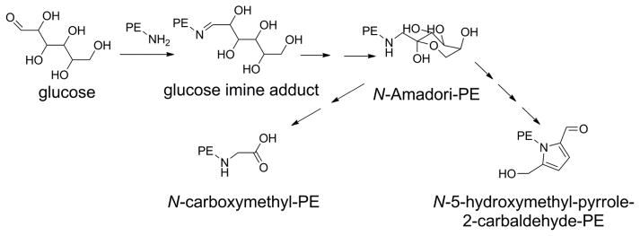 Figure 24