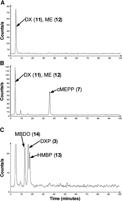 Figure 7.