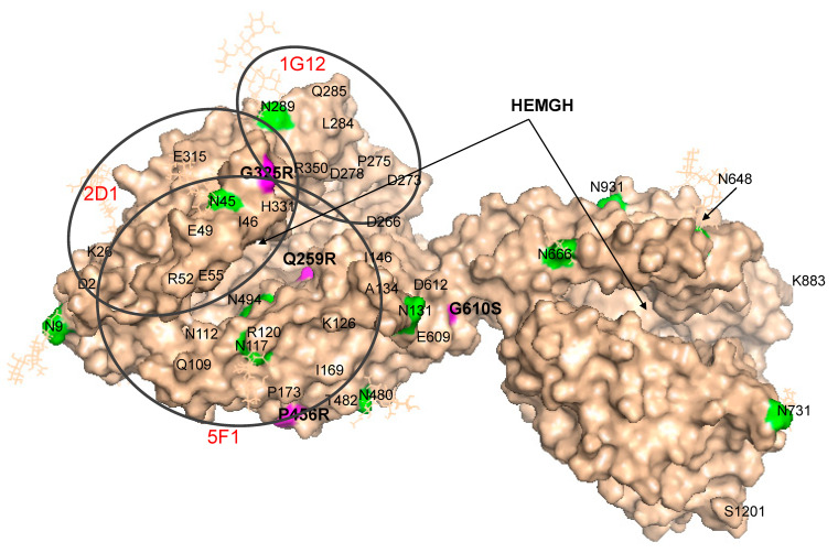 Figure 6