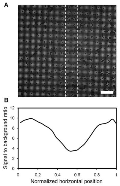 Fig. 9