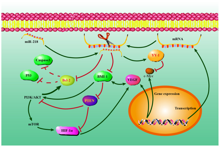 Figure 10.