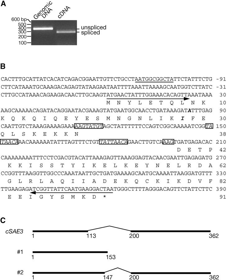 Figure 3.—