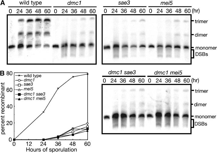 Figure 2.—