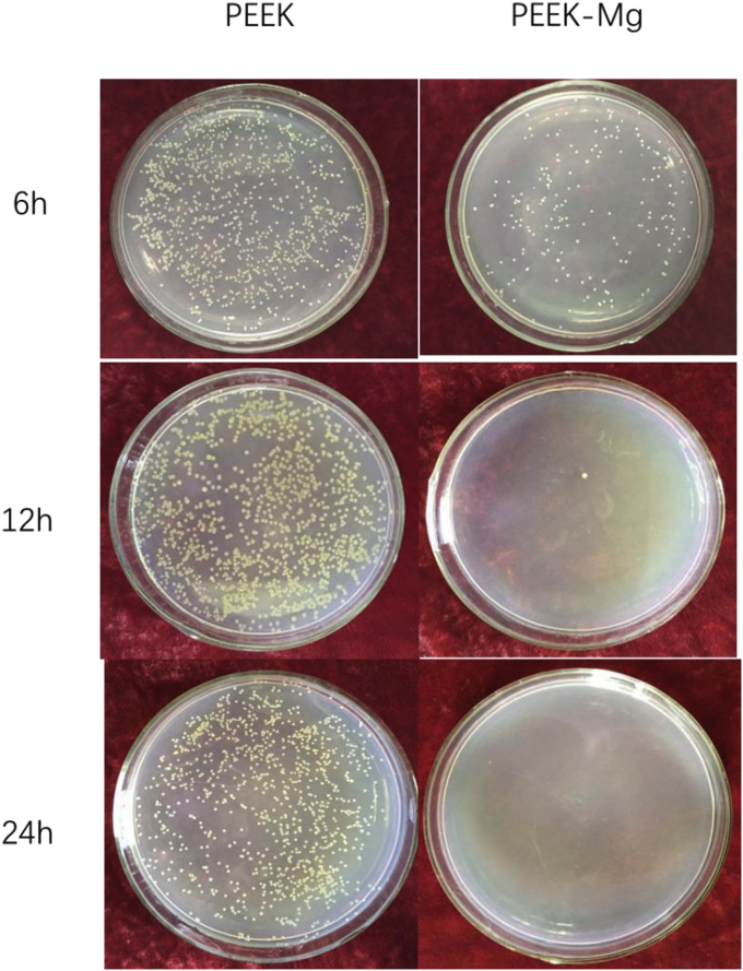 Fig. 3