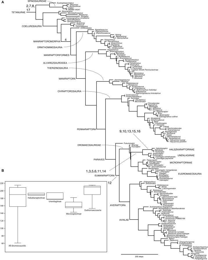 Figure 7