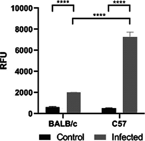 FIG 6