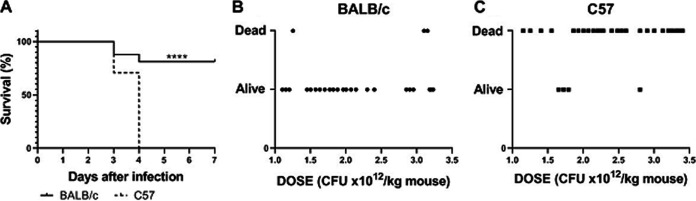 FIG 1