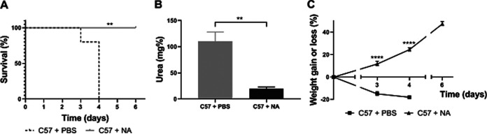 FIG 9