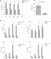 FIG 2