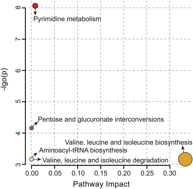 FIGURE 4