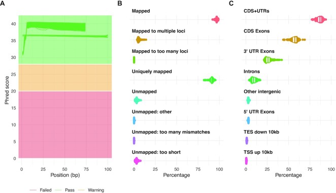 Figure 2: