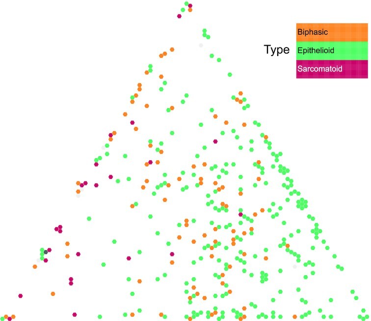 Figure 7: