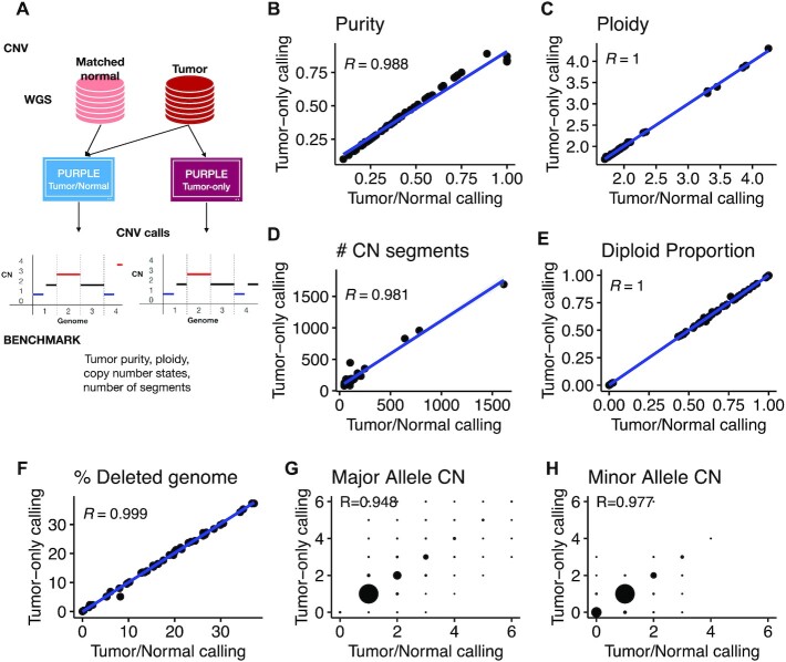 Figure 4: