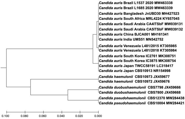 Figure 1