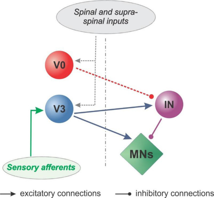 Figure 7: