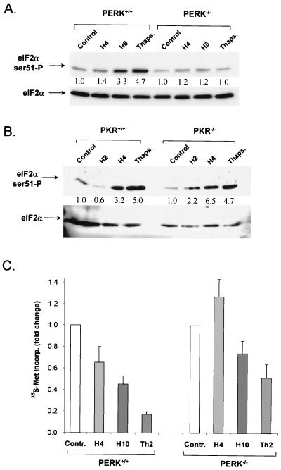 FIG. 7.