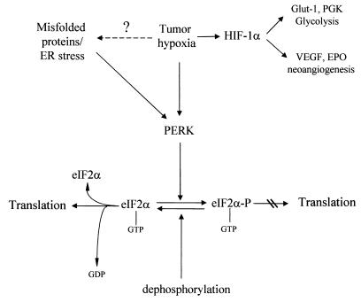 FIG. 9.