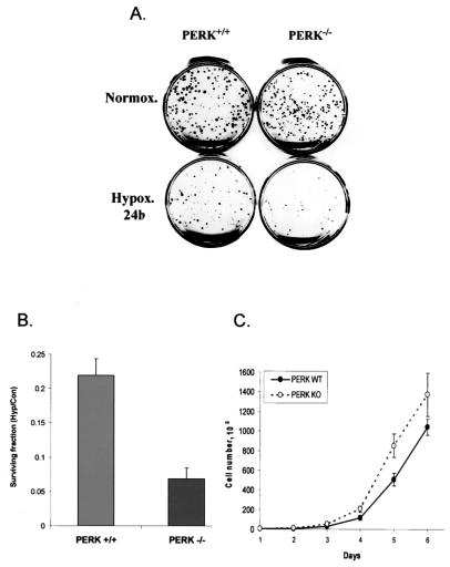 FIG. 8.