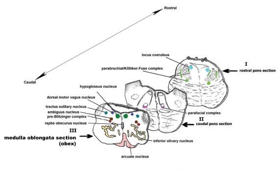 Fig. (2)