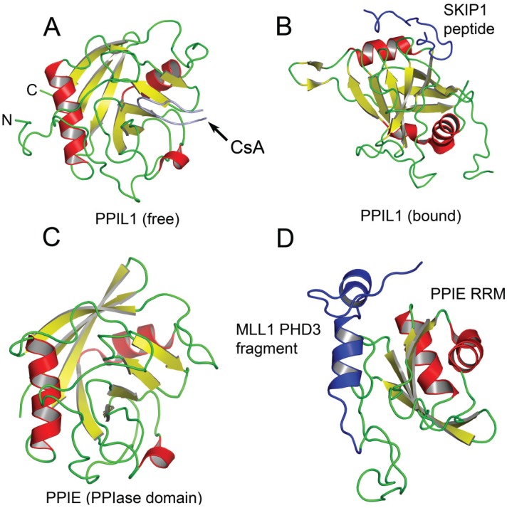 Figure 2