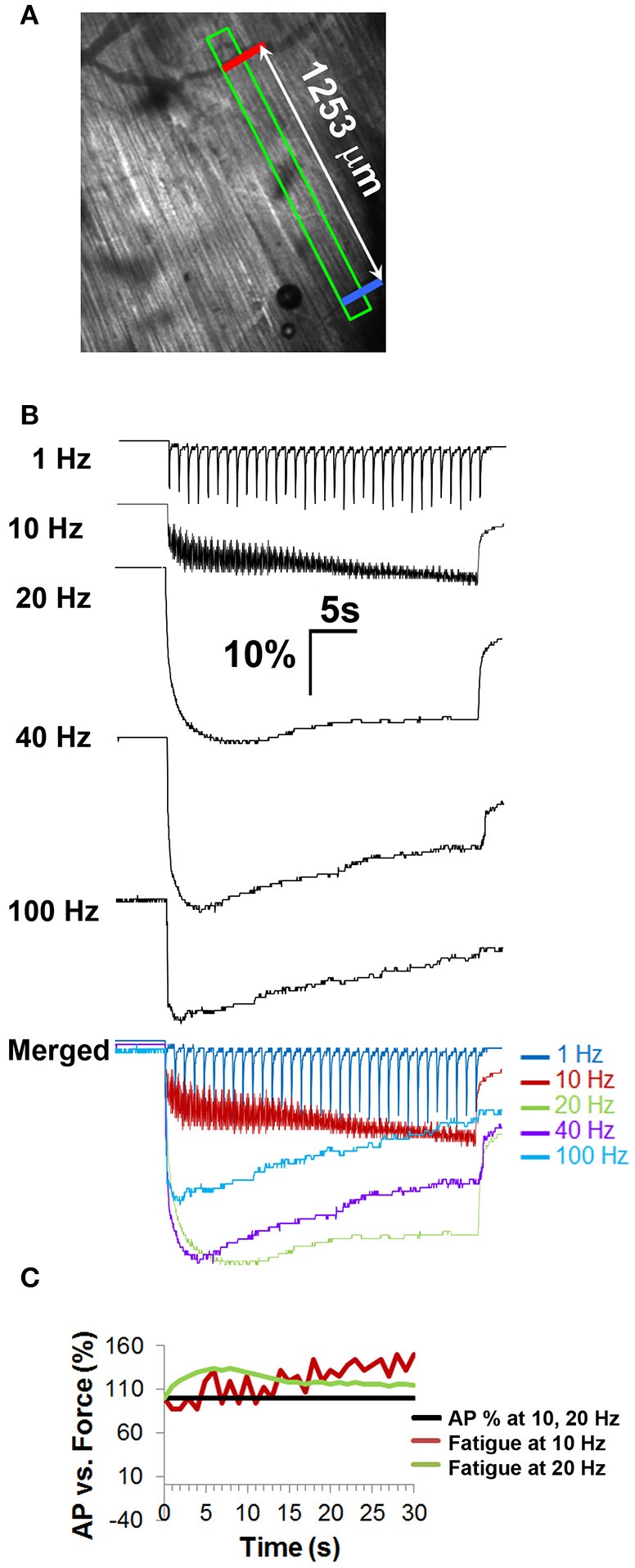 Figure 5