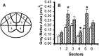 Fig. 10.