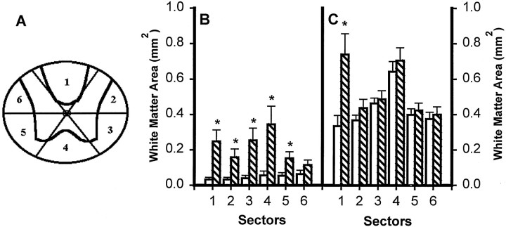 Fig. 9.