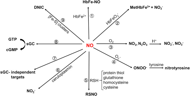 Scheme 2