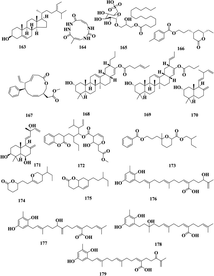 Fig. 10