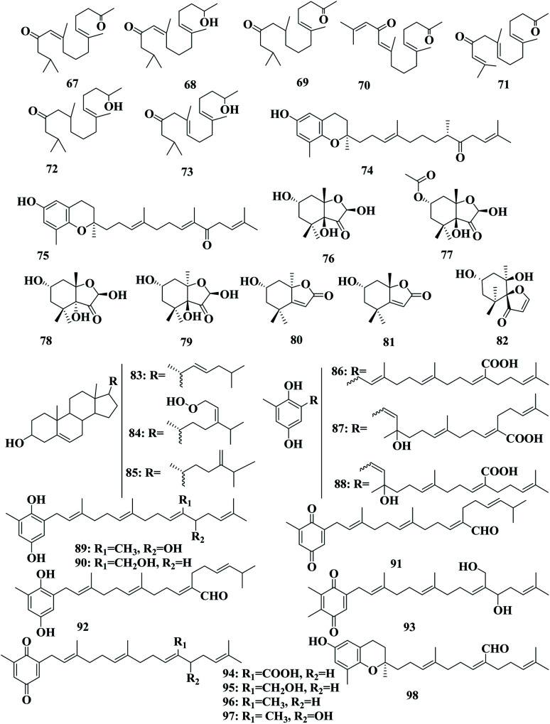 Fig. 5