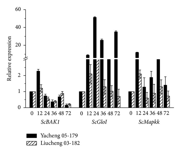 Figure 6