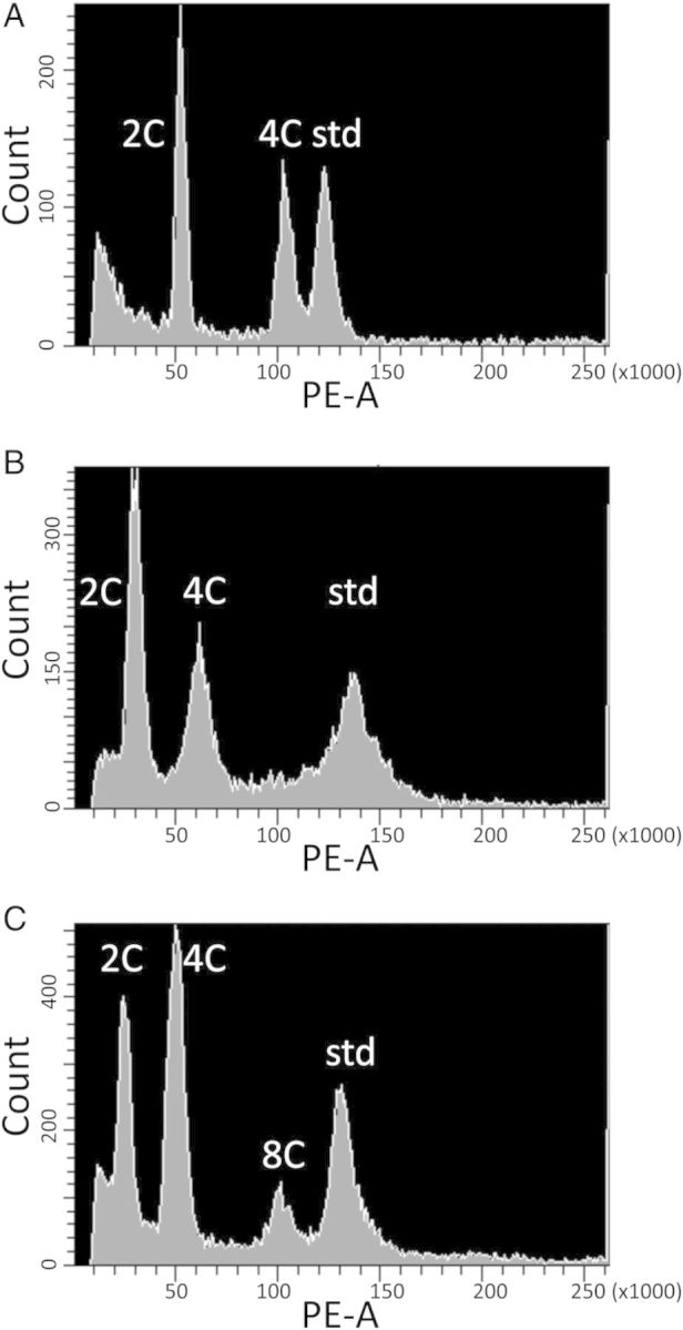 Figure 2.