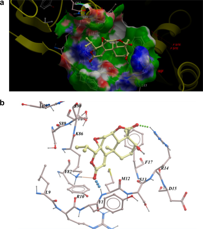 Fig. 6