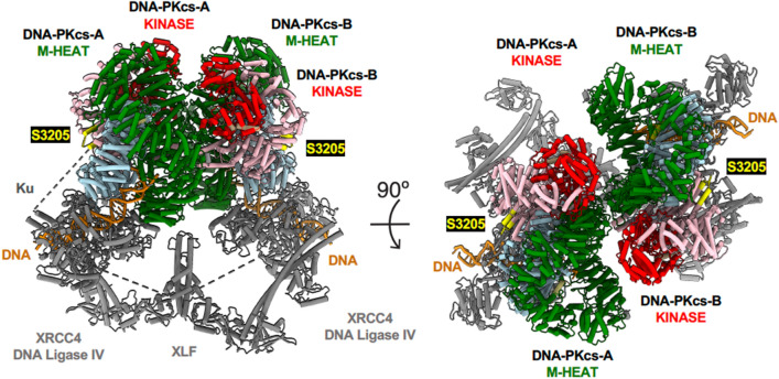 Fig. 3