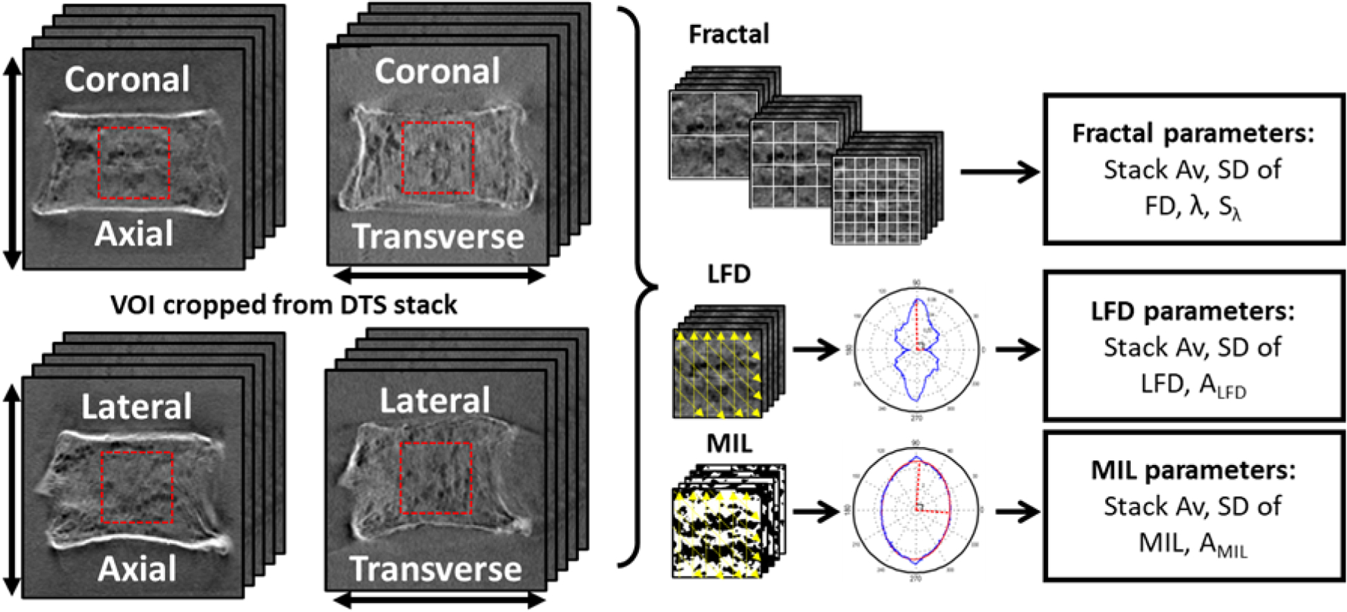 Figure 1: