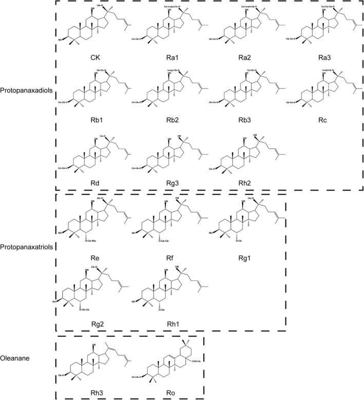 FIGURE 1