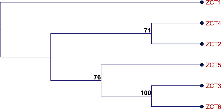 Fig. 2