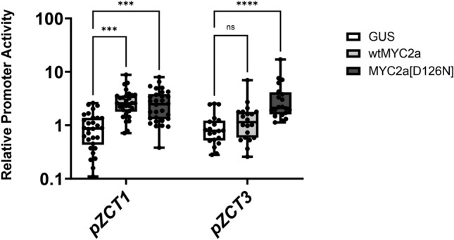 Fig. 8