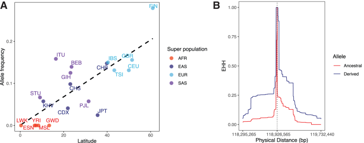 Figure 3