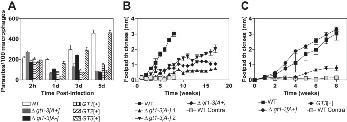 FIG 4 