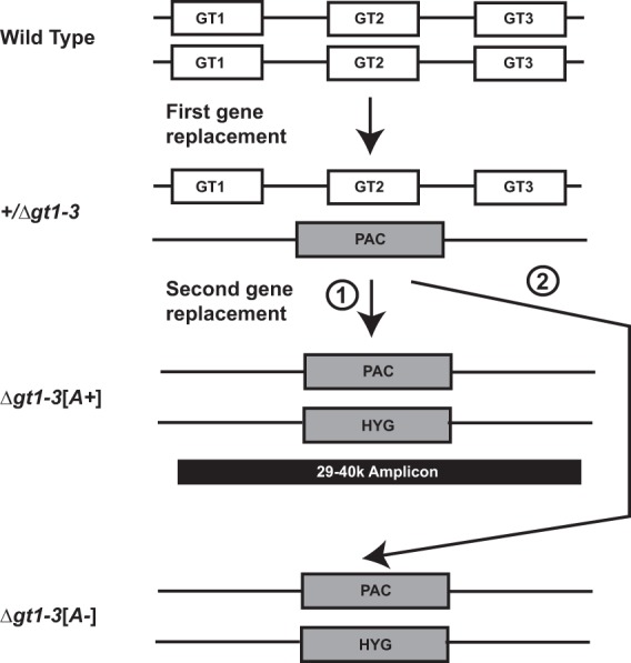 FIG 1 