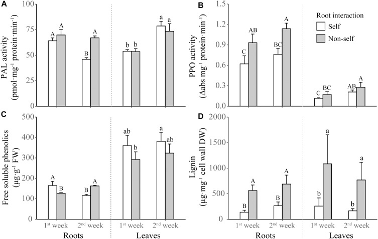 FIGURE 4